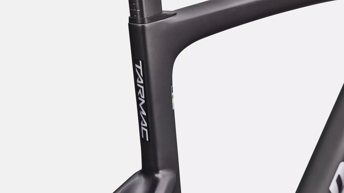 2027 S-Works Tarmac SL9 Frameset - Raw Carbon / Gloss Amethyst Frost