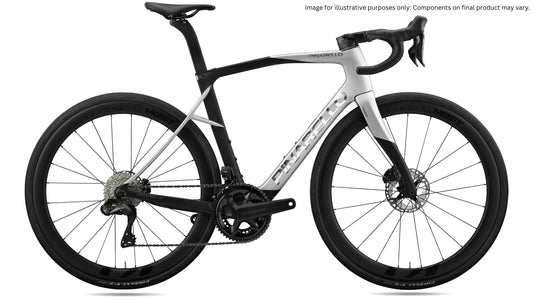 2026 Pinarella X7 - Ultegra Di2 - XSpeed Saturn Silver
